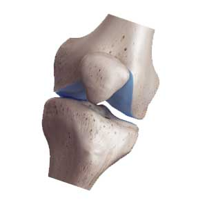 دکتر جمشید ایمانی